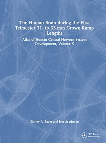 Stock image for The Human Brain During the First Trimester 31- To 33-Mm Crown-Rump Lengths for sale by Blackwell's