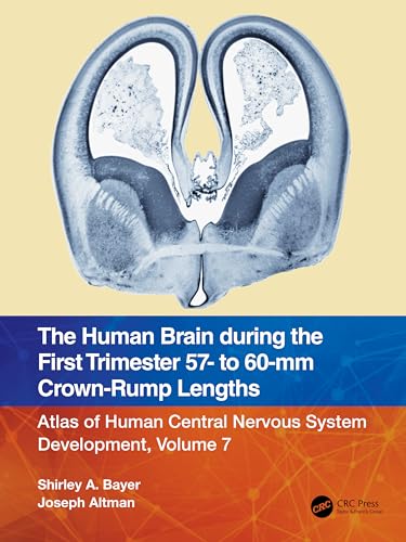 Beispielbild fr The Human Brain During the First Trimester 57- To 60-Mm Crown-Rump Lengths zum Verkauf von Blackwell's