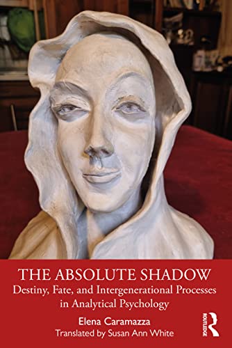 Beispielbild fr The Absolute Shadow zum Verkauf von Blackwell's