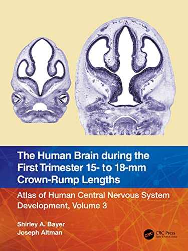 Stock image for The Human Brain during the First Trimester 15- to 18-mm Crown-Rump Lengths (Atlas of Human Central Nervous System Development, 3) for sale by Lucky's Textbooks