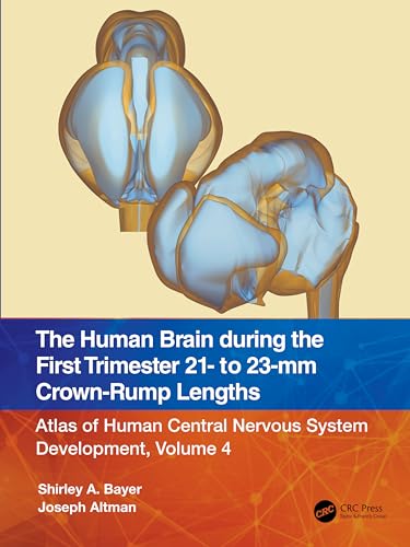 Beispielbild fr The Human Brain During the First Trimester 21- To 23-Mm Crown-Rump Lengths Volume 4 zum Verkauf von Blackwell's