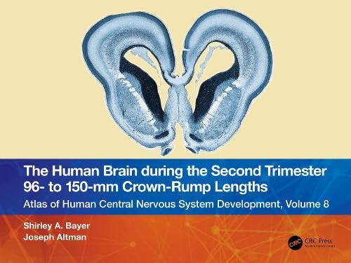 Stock image for The Human Brain during the Second Trimester 96- to 150-mm Crown-Rump Lengths: Atlas of Human Central Nervous System Development, Volume 8 for sale by THE SAINT BOOKSTORE