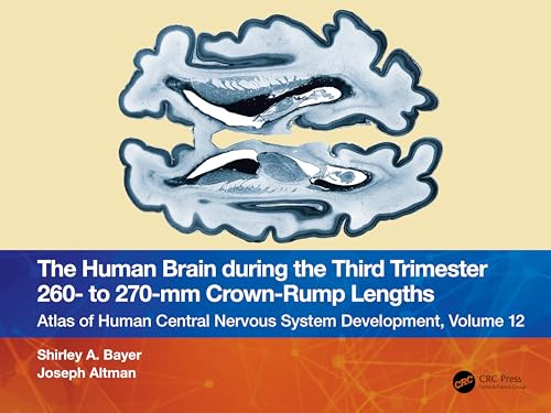 Beispielbild fr The Human Brain During the Third Trimester 260- To 270-Mm Crown-Rump Lengths zum Verkauf von Blackwell's