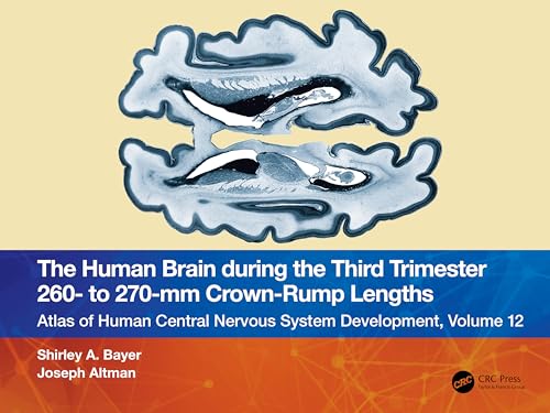 Stock image for The Human Brain During the Third Trimester 260- To 270-Mm Crown-Rump Lengths for sale by Blackwell's