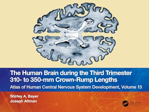 Beispielbild fr The Human Brain During the Third Trimester 310- To 350-Mm Crown-Rump Lengths zum Verkauf von Blackwell's