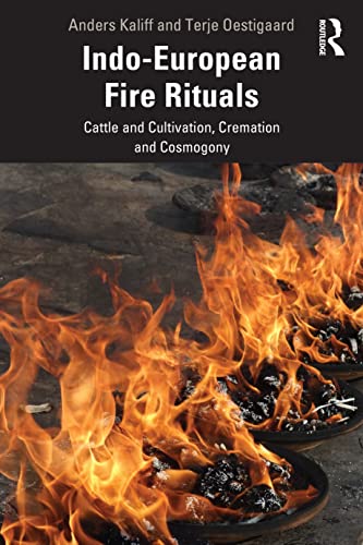 Stock image for Indo-European Fire Rituals for sale by SecondSale