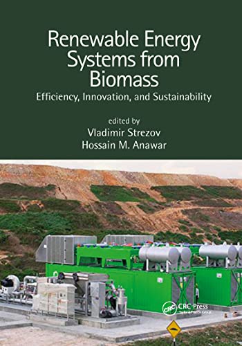 Stock image for Renewable Energy Systems from Biomass for sale by Blackwell's