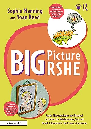 Stock image for Big Picture RSHE: Ready-Made Analogies and Practical Activities for Relationships, Sex and Health Education in the Primary Classroom for sale by THE SAINT BOOKSTORE