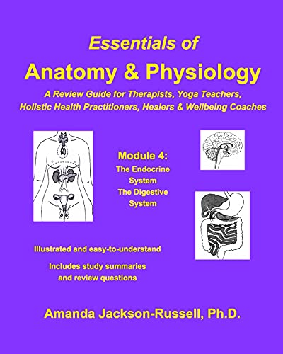 Stock image for Essentials of Anatomy and Physiology - A Review Guide - Module 4: For Therapists, Yoga Teachers, Holistic Healers and Wellbeing Coaches for sale by ThriftBooks-Dallas