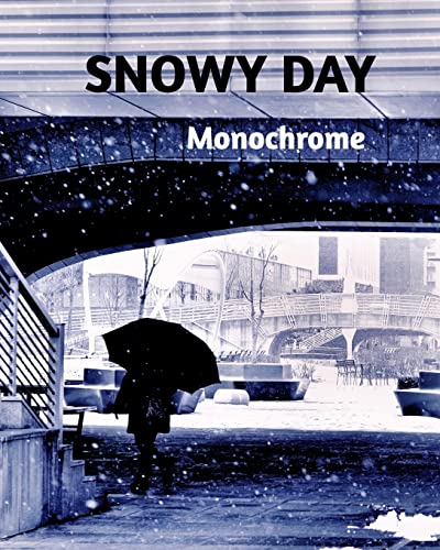 Stock image for SNOWY DAY -Monochrome for sale by Chiron Media