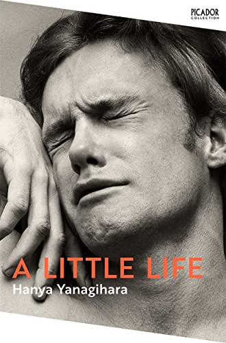 Stock image for A LITTLE LIFE for sale by Universal Store