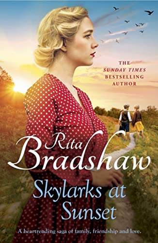 Beispielbild fr Skylarks At Sunset: An unforgettable saga of love, family and hope zum Verkauf von WorldofBooks