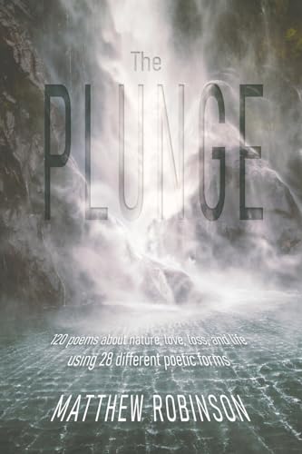 Imagen de archivo de The Plunge a la venta por ThriftBooks-Atlanta