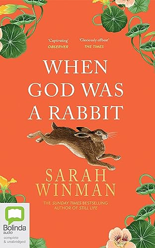 Imagen de archivo de When God Was a Rabbit a la venta por Revaluation Books