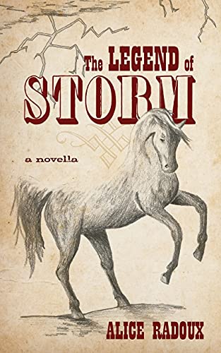 9781039106031: The Legend of Storm