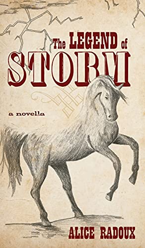 Beispielbild fr The Legend of Storm zum Verkauf von WorldofBooks