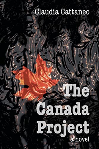 Beispielbild fr The Canada Project zum Verkauf von WorldofBooks