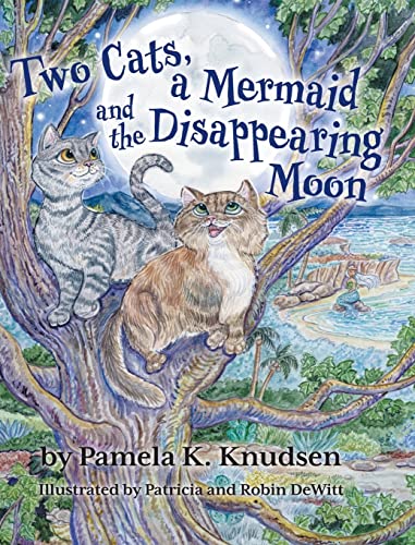 9781039144446: Two Cats, a Mermaid and the Disappearing Moon