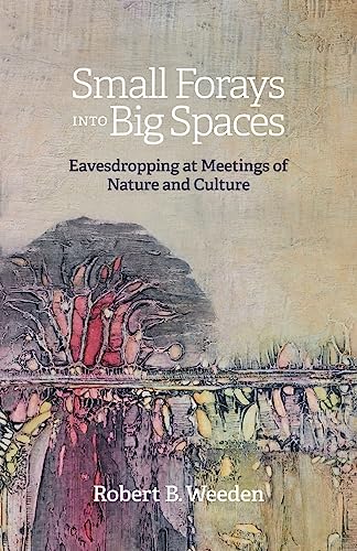 Stock image for Small Forays Into Big Spaces: Eavesdropping at Meetings of Nature and Culture for sale by GreatBookPrices