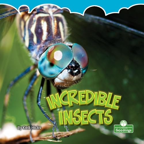 Beispielbild fr Incredible Insects zum Verkauf von Blackwell's