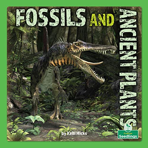 Beispielbild fr Fossils and Ancient Plants zum Verkauf von Blackwell's