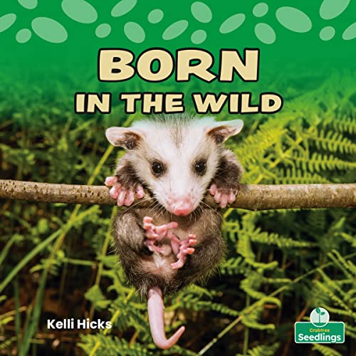 9781039662193: Born in the Wild