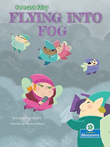 9781039800922: Flying Into Fog (Forecast Fairy)
