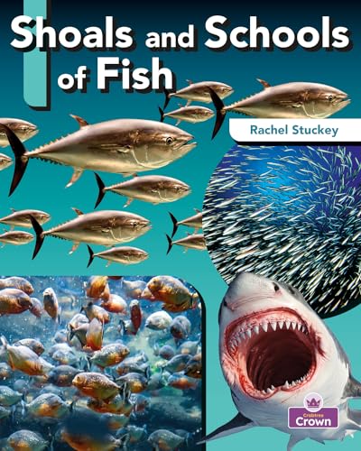 Stock image for Shoals and Schools of Fish (Pods, Troops, and Other Animal Groups) [Paperback] Stuckey, Rachel for sale by Lakeside Books