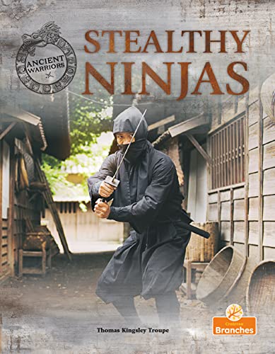 Stock image for Stealthy Ninjas for sale by Blackwell's
