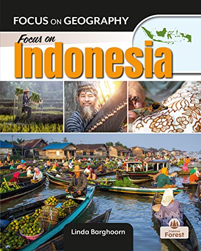 Stock image for Focus on Indonesia for sale by Blackwell's