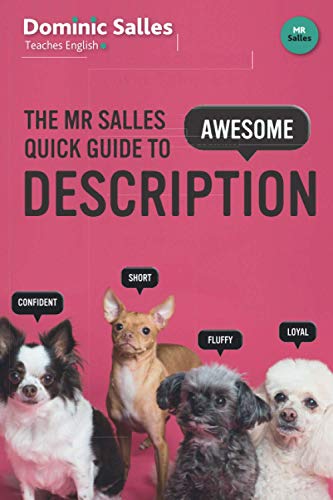 9781070836713: The Mr Salles Quick Guide to Awesome Description