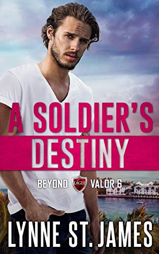 Beispielbild fr A Soldier's Destiny: Eagle Security & Protection Agency (Beyond Valor) zum Verkauf von SecondSale