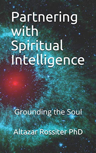 Beispielbild fr Partnering with Spiritual Intelligence: Grounding the Soul zum Verkauf von THE SAINT BOOKSTORE