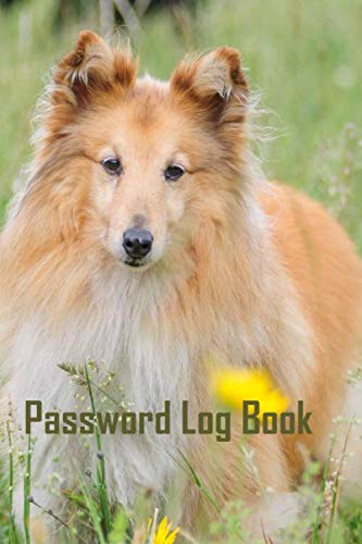 Imagen de archivo de Password Log Book: How to Create a Strong Password a la venta por Revaluation Books
