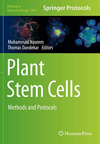 9781071601853: Plant Stem Cells: Methods and Protocols: 2094