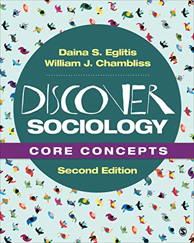 Stock image for Discover Sociology: Core Concepts for sale by BooksRun