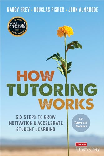 Imagen de archivo de How Tutoring Works: Six Steps to Grow Motivation and Accelerate Student Learning a la venta por HPB-Red