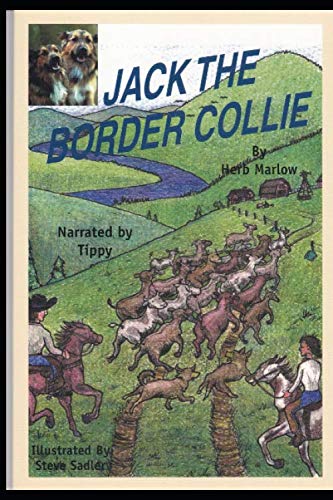 Imagen de archivo de JACK THE BORDER COLLIE a la venta por WorldofBooks