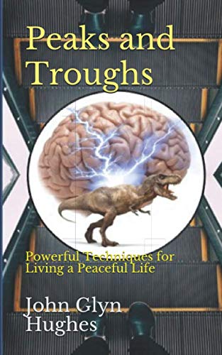 Stock image for Peaks and Troughs: Powerful Techniques for Living a Peaceful Life for sale by Revaluation Books