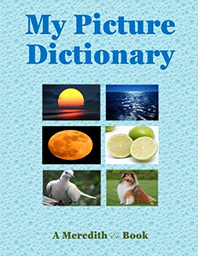 Stock image for My Picture Dictionary for sale by Lucky's Textbooks