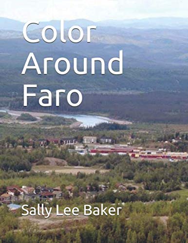 Stock image for Color Around Faro for sale by Revaluation Books