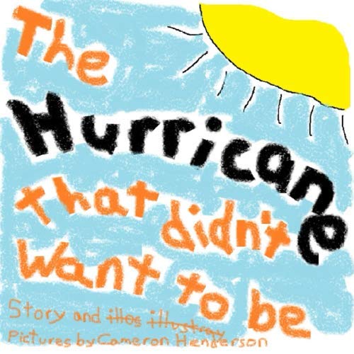 Stock image for The Hurricane That Didn't Want To Be for sale by Revaluation Books