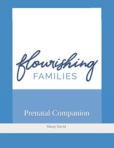 Stock image for Prenatal Companion for sale by Revaluation Books