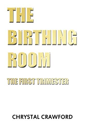 Beispielbild fr The Birthing Room: The First Trimester zum Verkauf von Half Price Books Inc.