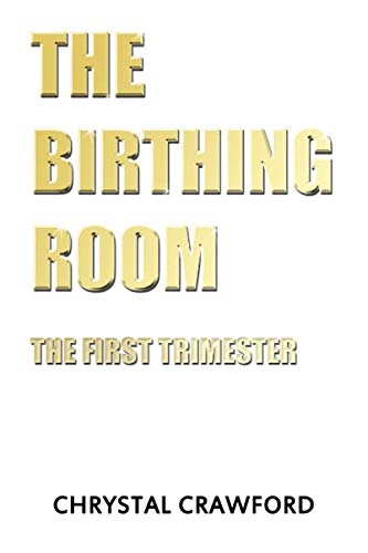 9781073760510: The Birthing Room: The First Trimester
