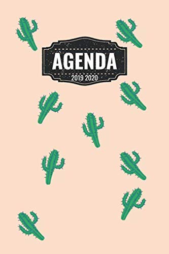 Beispielbild fr Agenda 2019 2020: Juillet 2019 A Dcembre 2020 / 1 Semaine Sur 1 Page / Planificateur Motif Cactus zum Verkauf von Revaluation Books
