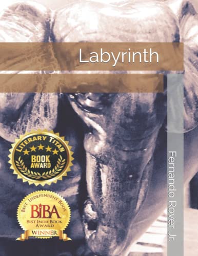 Beispielbild fr Labyrinth zum Verkauf von Once Upon A Time Books