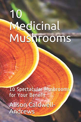 Stock image for 10 Medicinal Mushrooms: 10 Spectacular Mushrooms for Your Benefit for sale by Big River Books