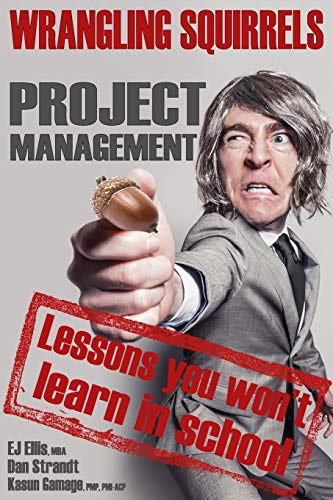 Imagen de archivo de Wrangling Squirrels: Project management lessons you won?t learn in school a la venta por Lucky's Textbooks