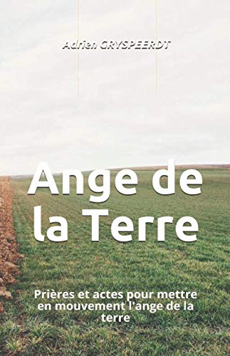 Stock image for Ange de la Terre: Prires et actes pour mettre en mouvement l'ange de la terre for sale by Revaluation Books